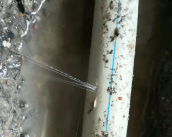 法库卫生间测漏水多少钱