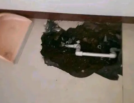 法库卫生间测漏水多少钱